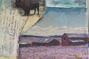 Lake George Barns and Buffalo